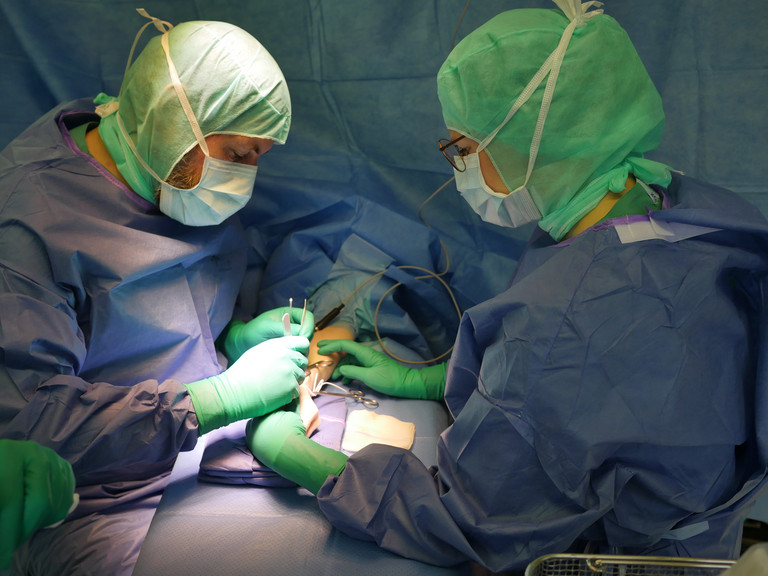 Ärzte operieren eine Hand - Obere Extremität, Hand- und Mikrochirurgie - Immanuel Krankenhaus Berlin