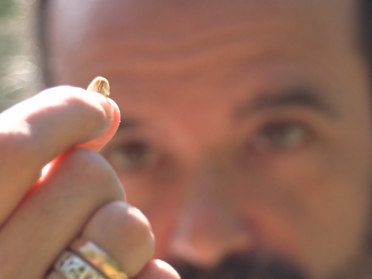 Naturheilkundeexperte Christian Keßler zeigt ein Haferkorn in der SWR-Sendung Doc Fischer