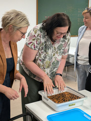 Linsenhandbad in der Ergotherapie