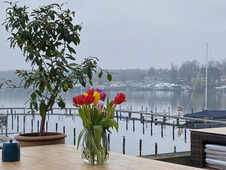Blick von der Terrasse auf den Wannsee