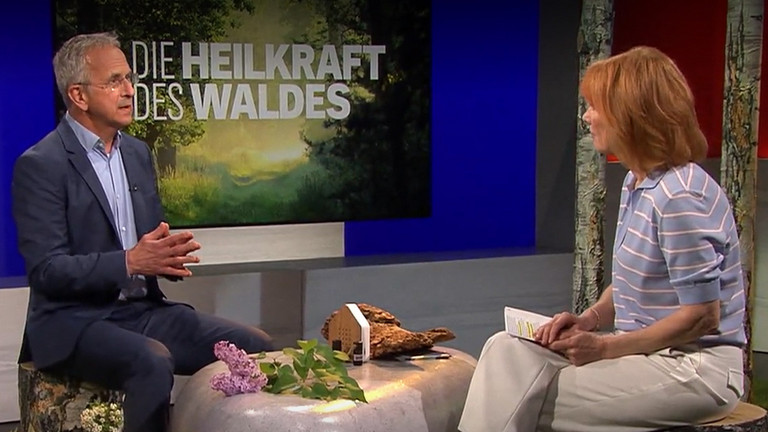 Prof. Andreas Michalsen stellt in der NDR-Visite die neuesten Ergebnisse einer Studie zum Waldbaden vor