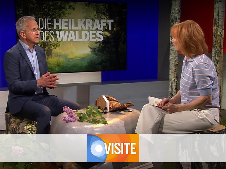 Prof. Andreas Michalsen stellt in der NDR-Visite die neuesten Ergebnisse einer Studie zum Waldbaden vor