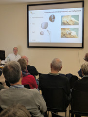 Chefarzt Dr. Peter Naatz gibt Einblicke in die Untere Extremität